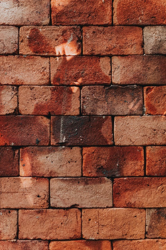 Shabby brick wall in sunny day